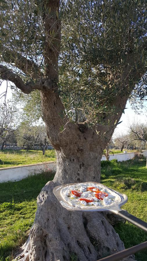 Masseria Cesarina B&B Castellana Grotte Exterior photo